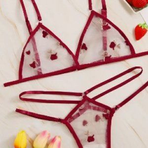 Embroidered Mesh Cut-out Sheer Lingerie Set